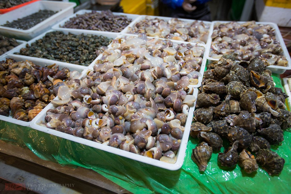 浙江象山渔民迎来大丰收市场海鲜价格却不便宜梭子蟹130一斤