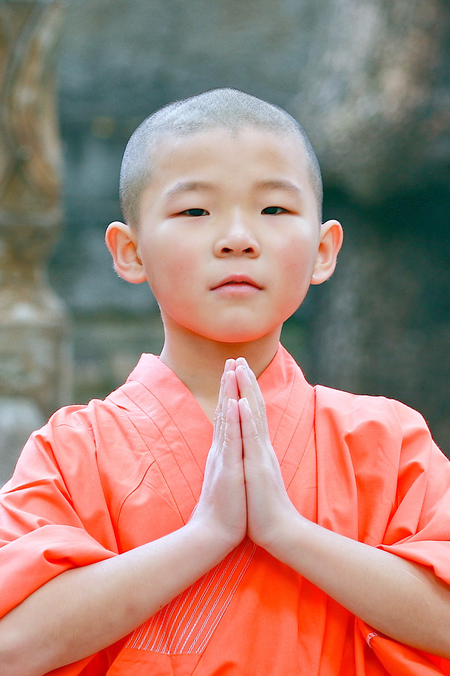 习武三年有余,我在少林寺,大法王寺等你.