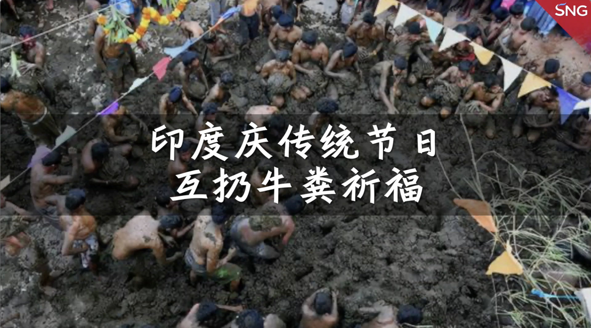 印度举办牛粪大战庆祝传统节日