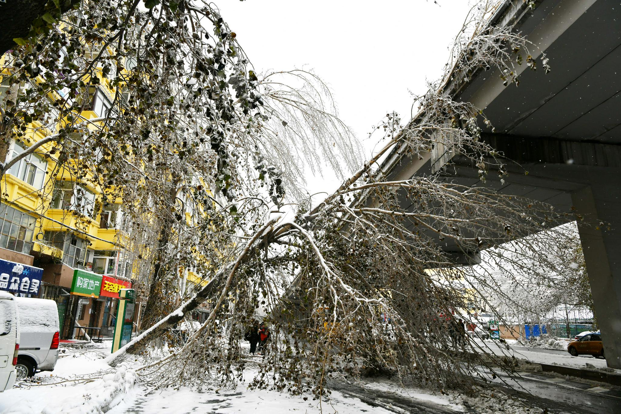 2008冻雨灾害图片图片