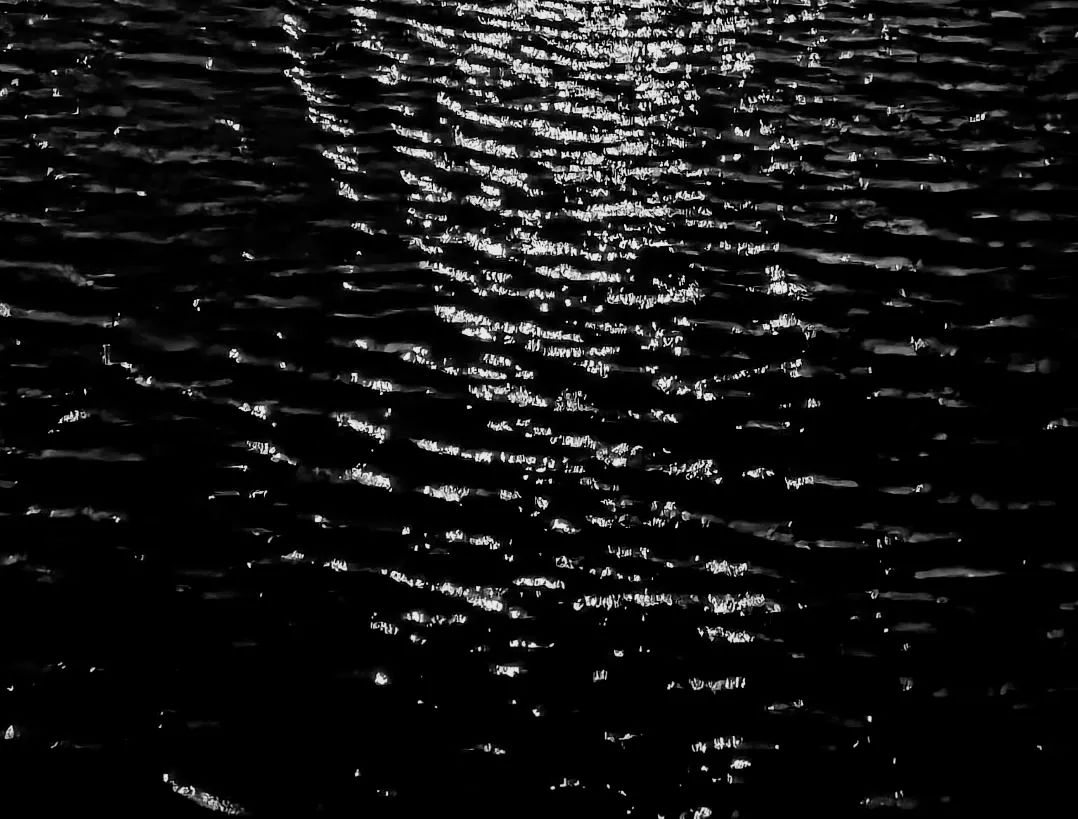 烦恼也随之消散空中还留有桂花的余香夜晚的湖面更加波光粼粼望月湖亮