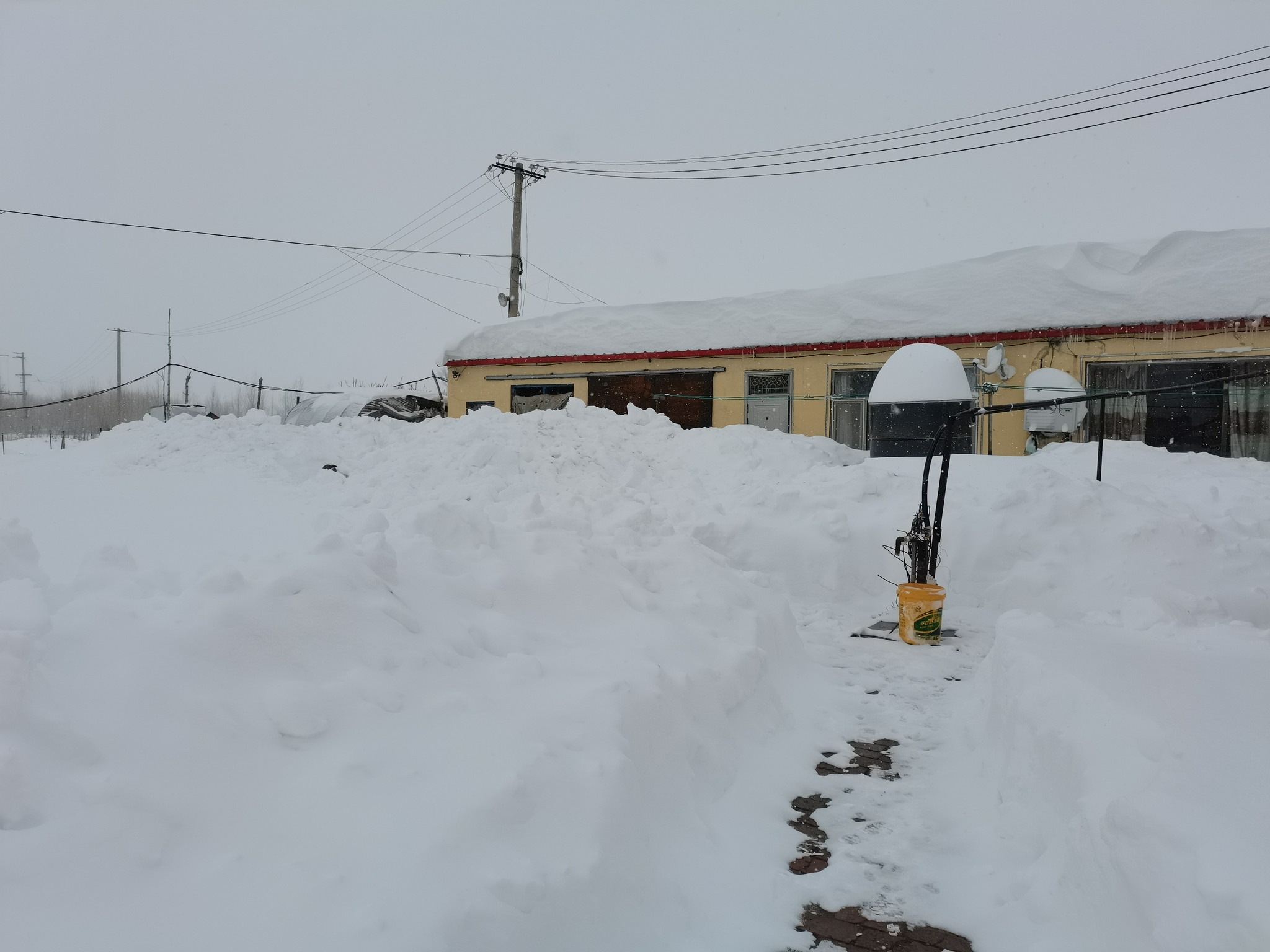 暴雪下的通辽:雪深半米 牲畜棚被压塌 正在进行清雪