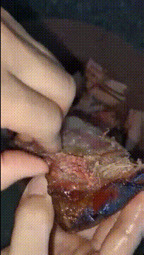 图片[1]-搞笑GIF趣图：这是什么肉，看起来好有食欲！-魔性次元