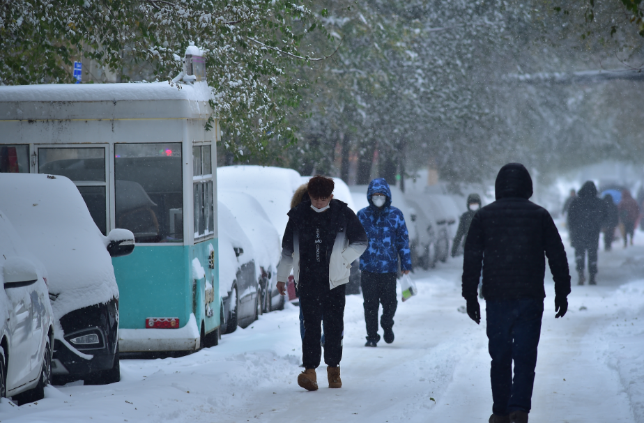 ▲11月8日，辽宁省沈阳市迎来“冻雨+暴雪”的罕见天气。图/IC photo