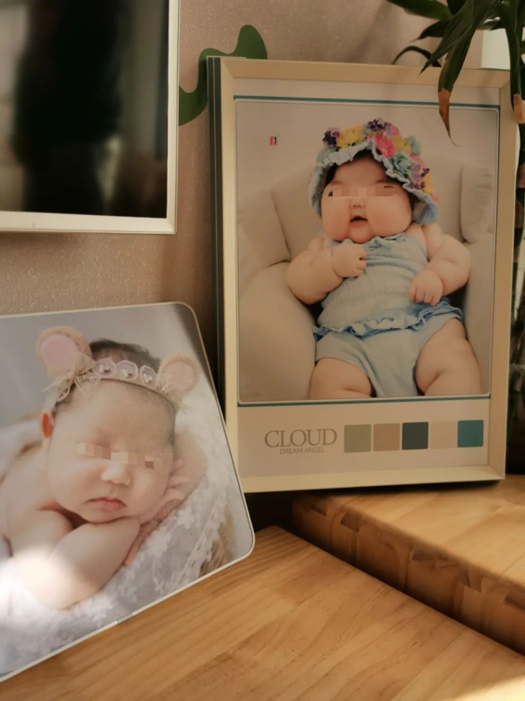 ▲柚子满月时的照片和4个半月时的照片对比 。新京报记者 王瑞文 摄