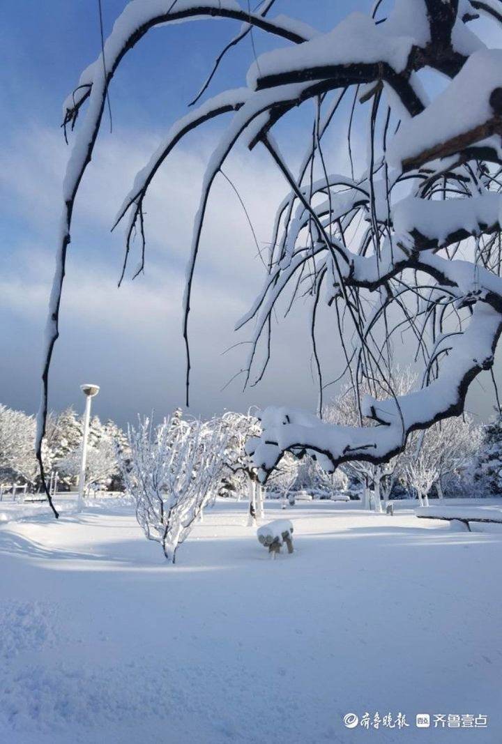烟台雪后天晴整个世界洁白无瑕一尘不染