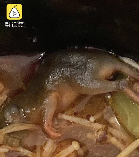 刘先生称,这只老鼠比较小在冒菜里不容易发现,最先露出尾巴,女友最初