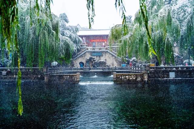济南府雪景刷屏来看老舍笔下济南的冬天有多美