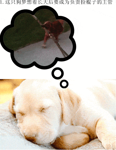 甚至有人梦见自己流泪了一整夜……而且梦里的事情千奇百怪,无奇不有