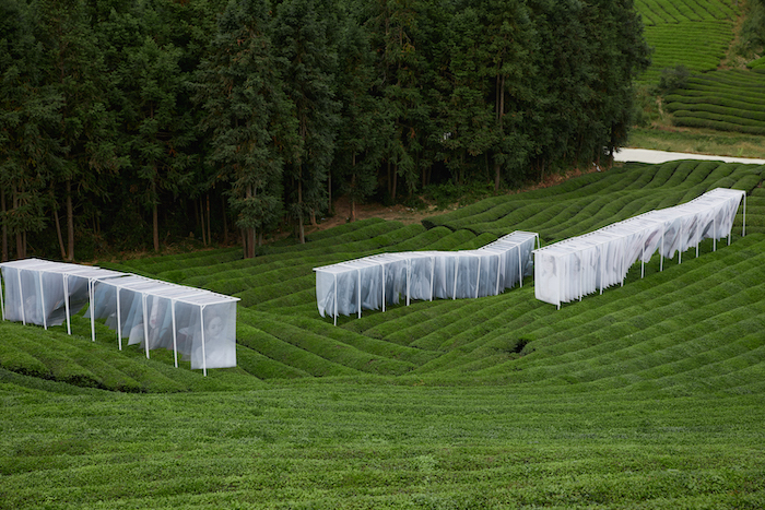 当"大地艺术节"来到中国浮梁,它将如何助力乡村建设? | 向往的乡村