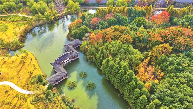 兴塘秋意|秋意|东北塘|秋色_新浪新闻