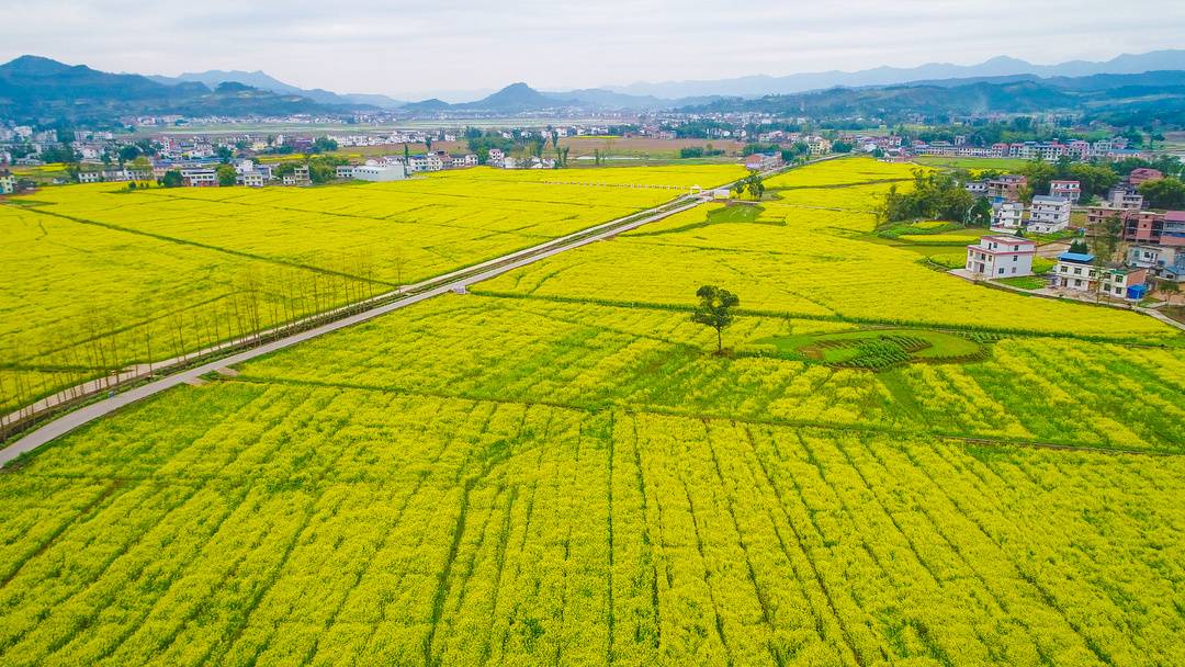 书记访谈 | 四川开江县委书记庞佑成:建成万达开川渝统筹发展先行示范