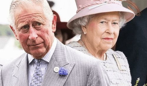 女王企业奖颁奖典礼上，查尔斯提前收到了生日礼物休闲区蓝鸢梦想 - Www.slyday.coM