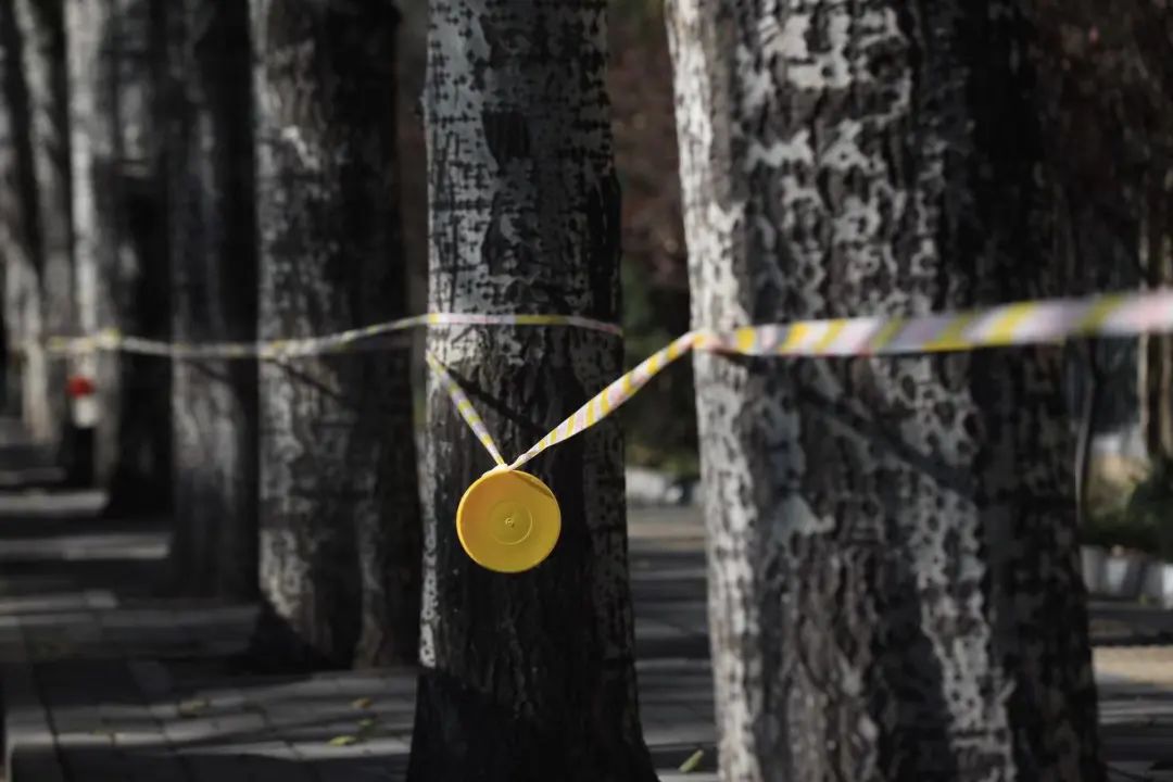 探访海淀中风险小区：封闭区域快递、外卖订单暴增休闲区蓝鸢梦想 - Www.slyday.coM