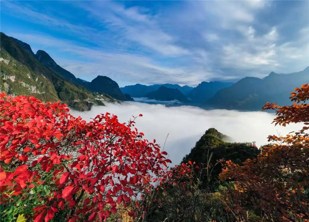 红妆染遍青山一起云赏红叶