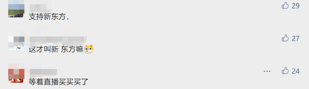 捐掉8万套课桌 退掉所有学费 结清全部工资 知名培训机构转行直播带货农产品休闲区蓝鸢梦想 - Www.slyday.coM