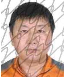 神木市人民法院2021年度悬赏执行公告（第二期）休闲区蓝鸢梦想 - Www.slyday.coM