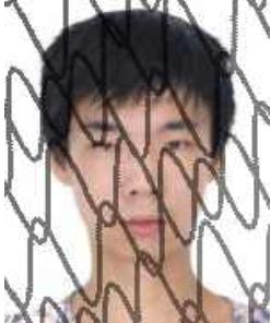 神木市人民法院2021年度悬赏执行公告（第二期）休闲区蓝鸢梦想 - Www.slyday.coM