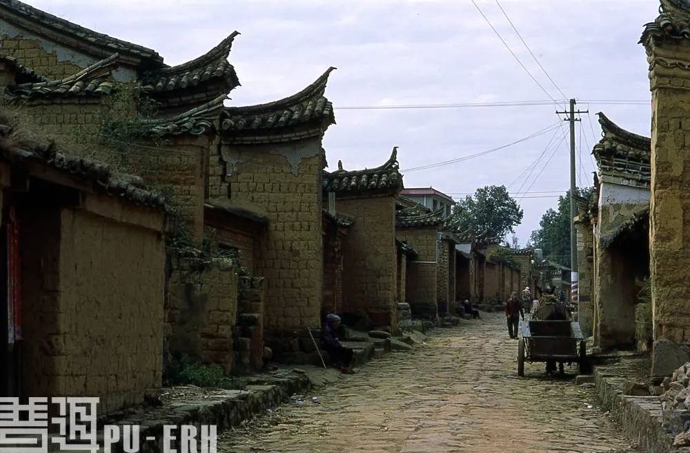 沾益县的松林村,又称松林驿,想必过去这一带是茂密的松树林,所以得了