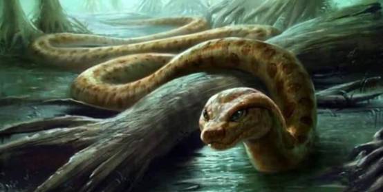 悬赏5万美金寻找9米巨蟒,100年过去了,为何还没人获得酬金?休闲区蓝鸢梦想 - Www.slyday.coM 悬赏5万美金寻找9米巨蟒,100年过去了,为何还没人获得酬金?休闲区蓝鸢梦想 - Www.slyday.coM