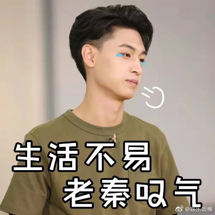 秦霄贤各种天上飞落入水姿态太搞笑了