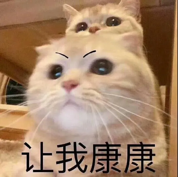 快和小奇一起探索一下吧~他们会和大家碰撞出怎样的火花呢这次还有