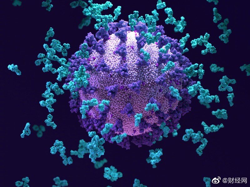 北京5例确诊感染德尔塔病毒休闲区蓝鸢梦想 - Www.slyday.coM