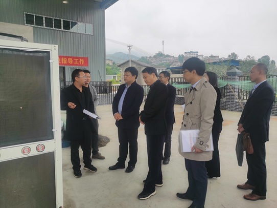 平安产险涪陵中心支公司前往涪陵珍溪镇永义村,石牛村调研花椒收益