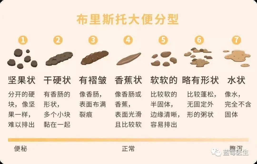 学会识别异常大便