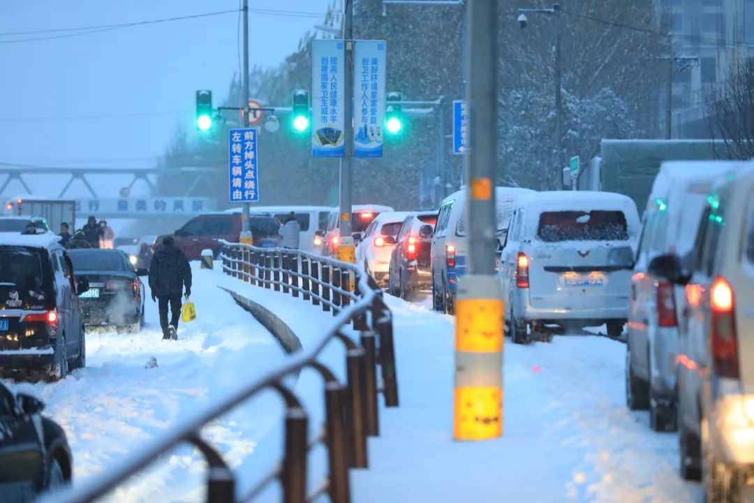 11月8日，辽宁沈阳遭遇罕见暴雪，路上积雪严重，车辆行驶受阻。图/IC Photo