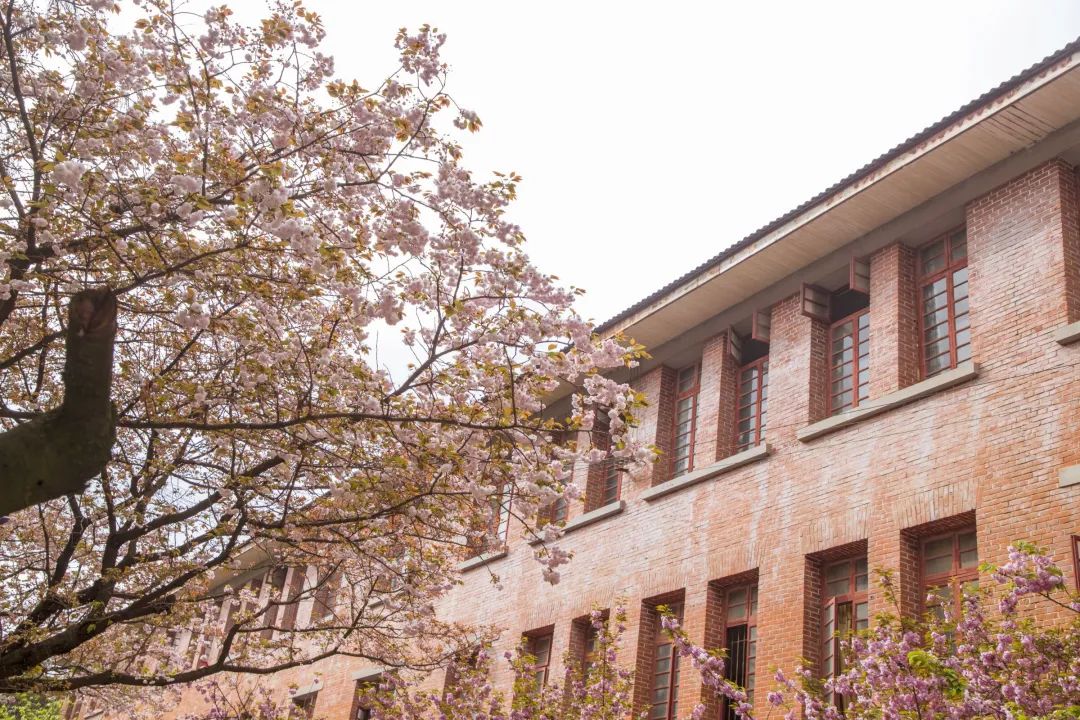 【献礼八十周年校庆】贵州师范大学:青春里最美的回忆