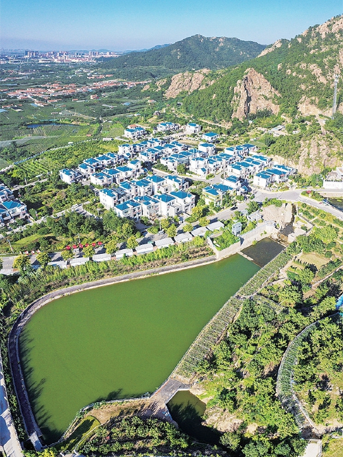 山东省级美丽乡村示范社区城阳区惜福镇街道青峰社区一角. 资料图