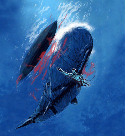 印尼最后的捕鲸人该消失吗