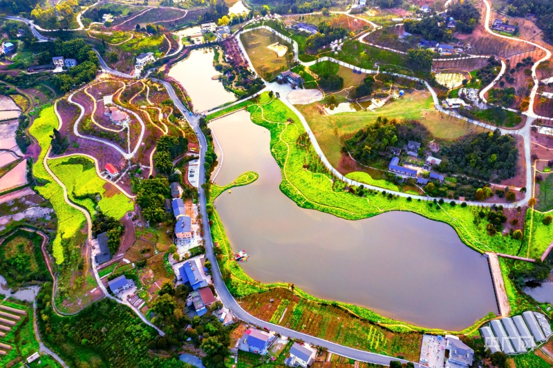 巴南区乡村振兴人才库建设成效明显|乡村振兴|重庆市|农民_新浪新闻