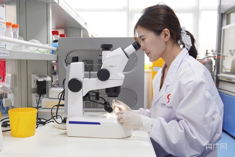 94年女博士后携"神奇小鼠"项目入围全国总决赛