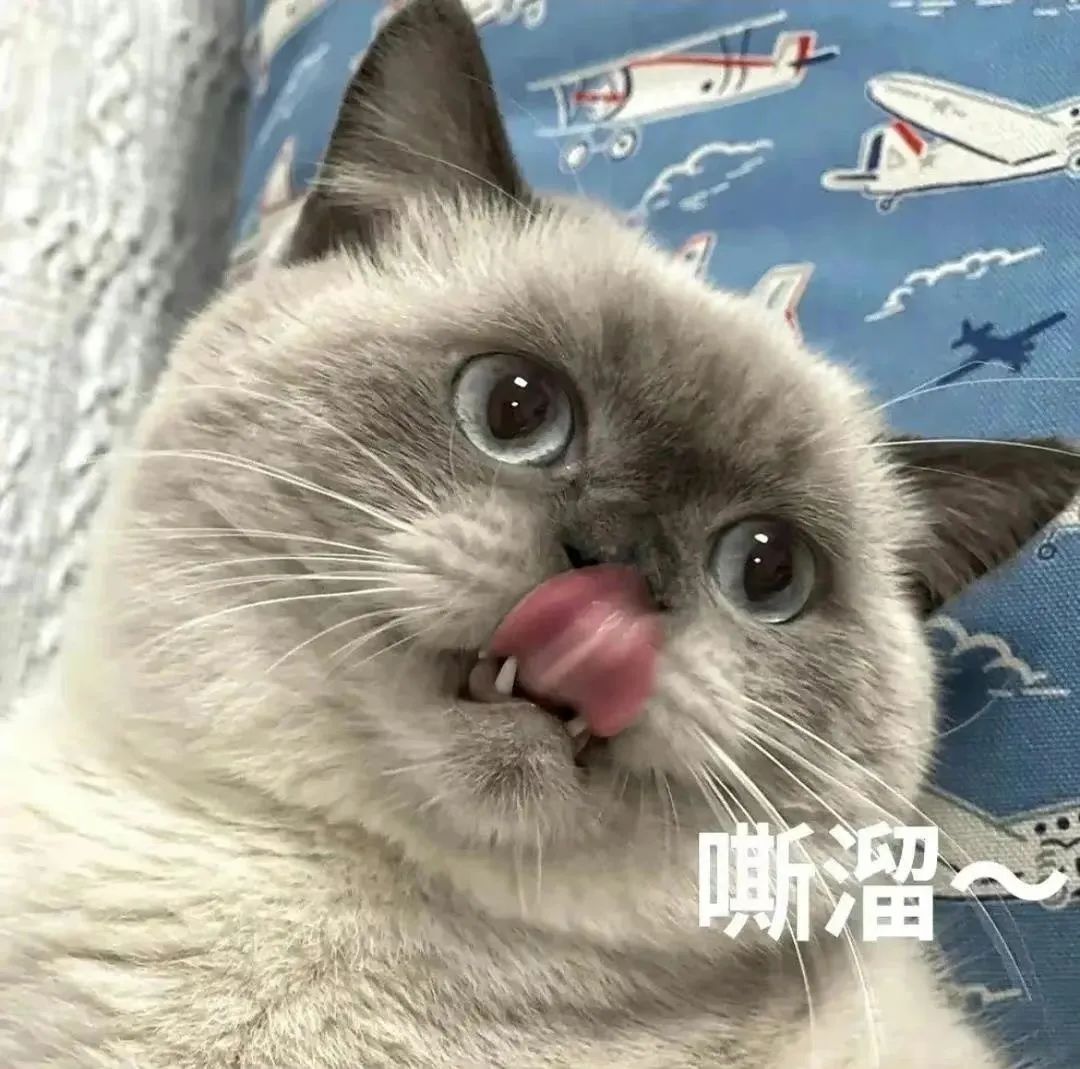 看完她镜头下的日常懂了女明星之所以是女明星的原因