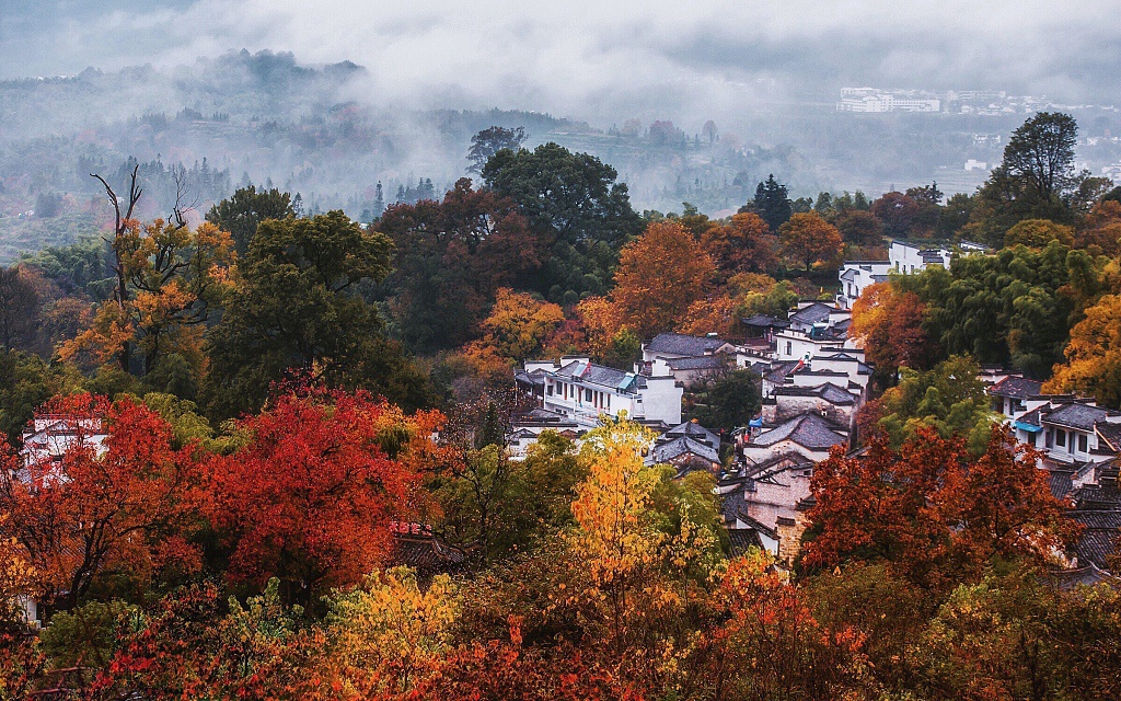 诗情画意塔川村