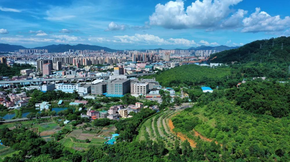 中山市三乡镇三大专班全速运转,打好三大攻坚战|攻坚战|中山市|香山