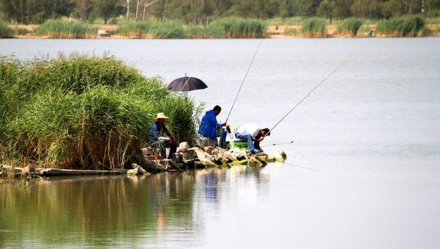 浮漂调钓中的一个难题,顿口不明显是什么原因?休闲区蓝鸢梦想 - Www.slyday.coM