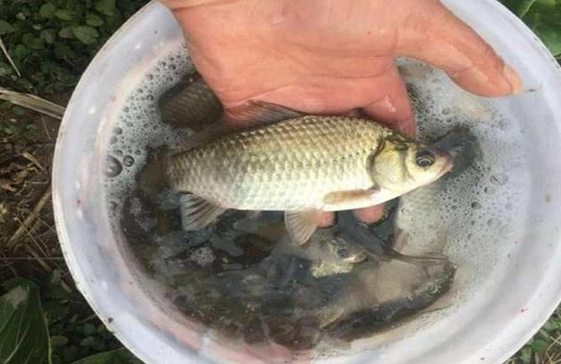 浮漂调钓中的一个难题,顿口不明显是什么原因?休闲区蓝鸢梦想 - Www.slyday.coM