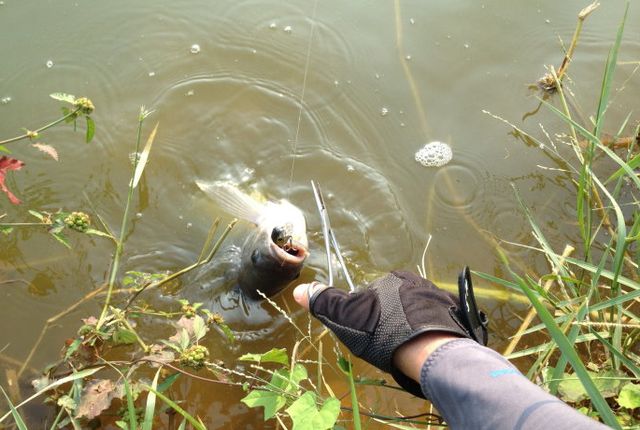 浮漂调钓中的一个难题,顿口不明显是什么原因?休闲区蓝鸢梦想 - Www.slyday.coM