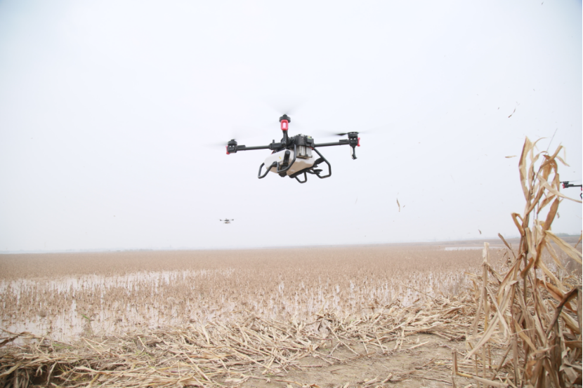 抗秋淋保秋播极飞p80农业无人机成小麦飞播好帮手