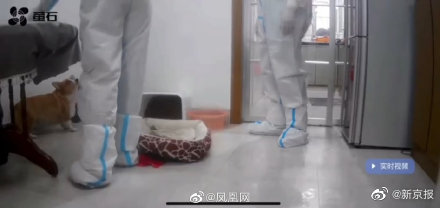 江西上饶信州防疫指挥部回应隔离宠物狗疑似被扑杀:网友反映问题暂未接收到相关信息,会试图去了解休闲区蓝鸢梦想 - Www.slyday.coM 江西上饶信州防疫指挥部回应隔离宠物狗疑似被扑杀:网友反映问题暂未接收到相关信息,会试图去了解休闲区蓝鸢梦想 - Www.slyday.coM