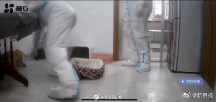 江西上饶信州防疫指挥部回应隔离宠物狗疑似被扑杀:网友反映问题暂未接收到相关信息,会试图去了解休闲区蓝鸢梦想 - Www.slyday.coM 江西上饶信州防疫指挥部回应隔离宠物狗疑似被扑杀:网友反映问题暂未接收到相关信息,会试图去了解休闲区蓝鸢梦想 - Www.slyday.coM