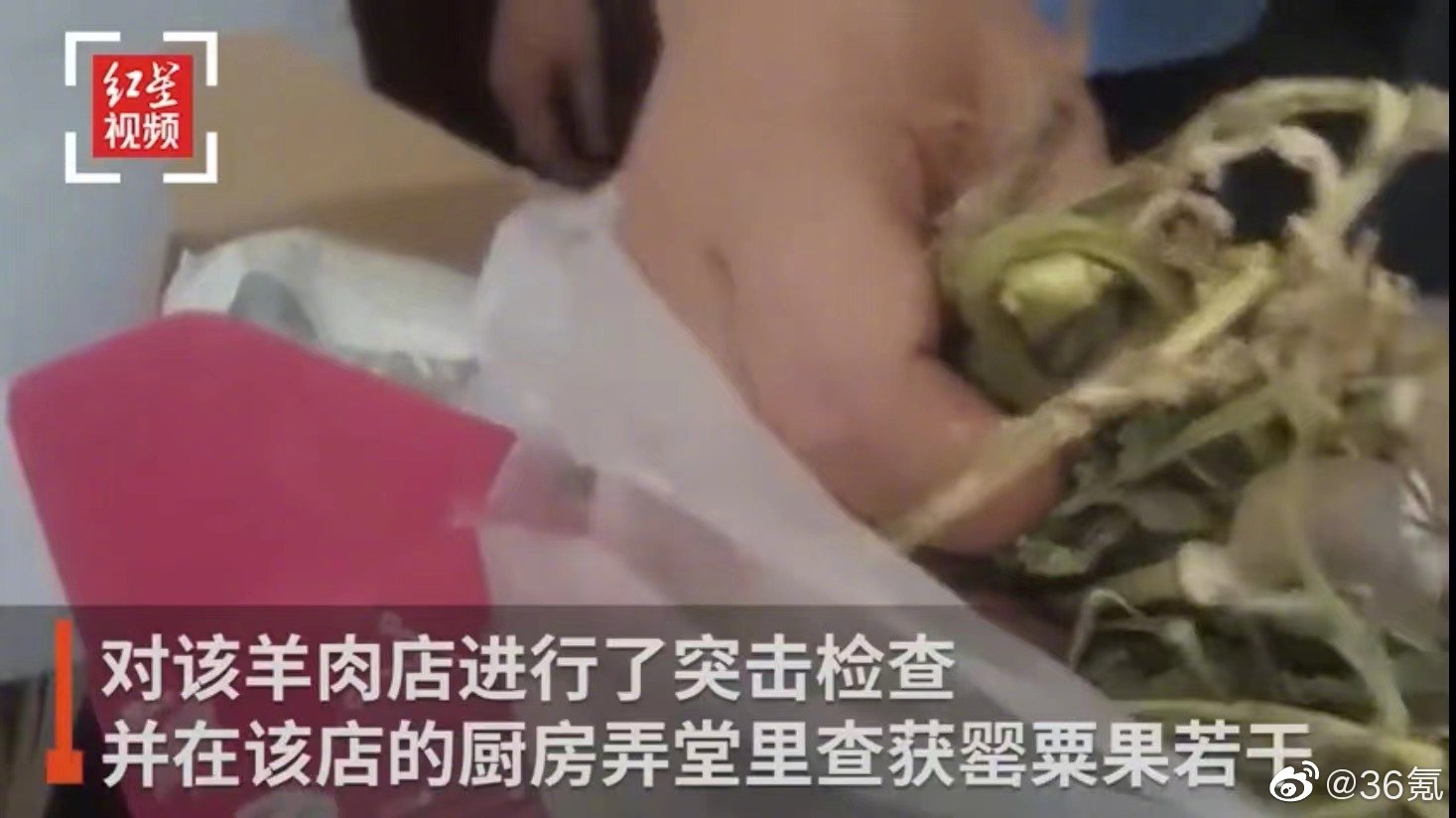 3人吃羊肉米线后被验出吸毒，餐厅汤料检测结果呈阳性，含罂粟成分休闲区蓝鸢梦想 - Www.slyday.coM