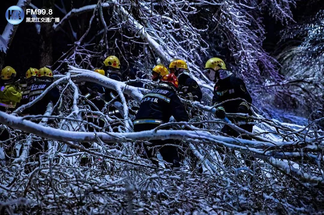 以雪为令 志愿正红休闲区蓝鸢梦想 - Www.slyday.coM