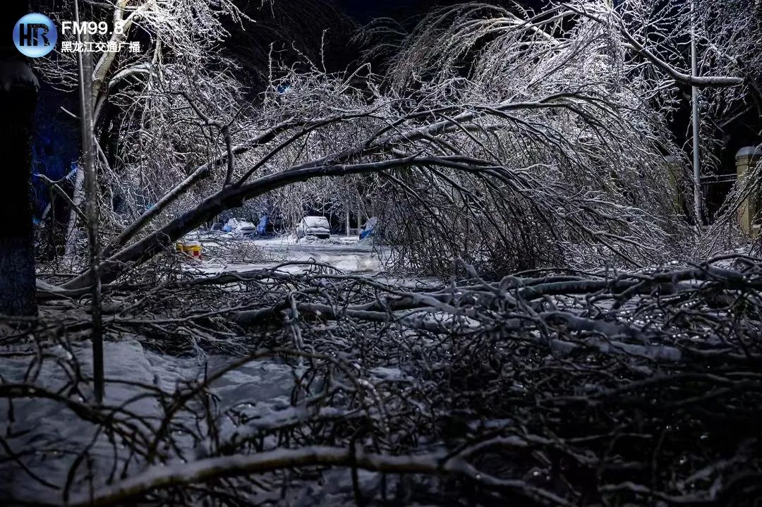 以雪为令 志愿正红休闲区蓝鸢梦想 - Www.slyday.coM