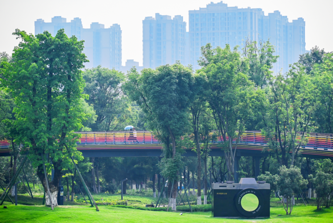 名单公布！成都这些地方入选“中国民间文化艺术之乡”休闲区蓝鸢梦想 - Www.slyday.coM