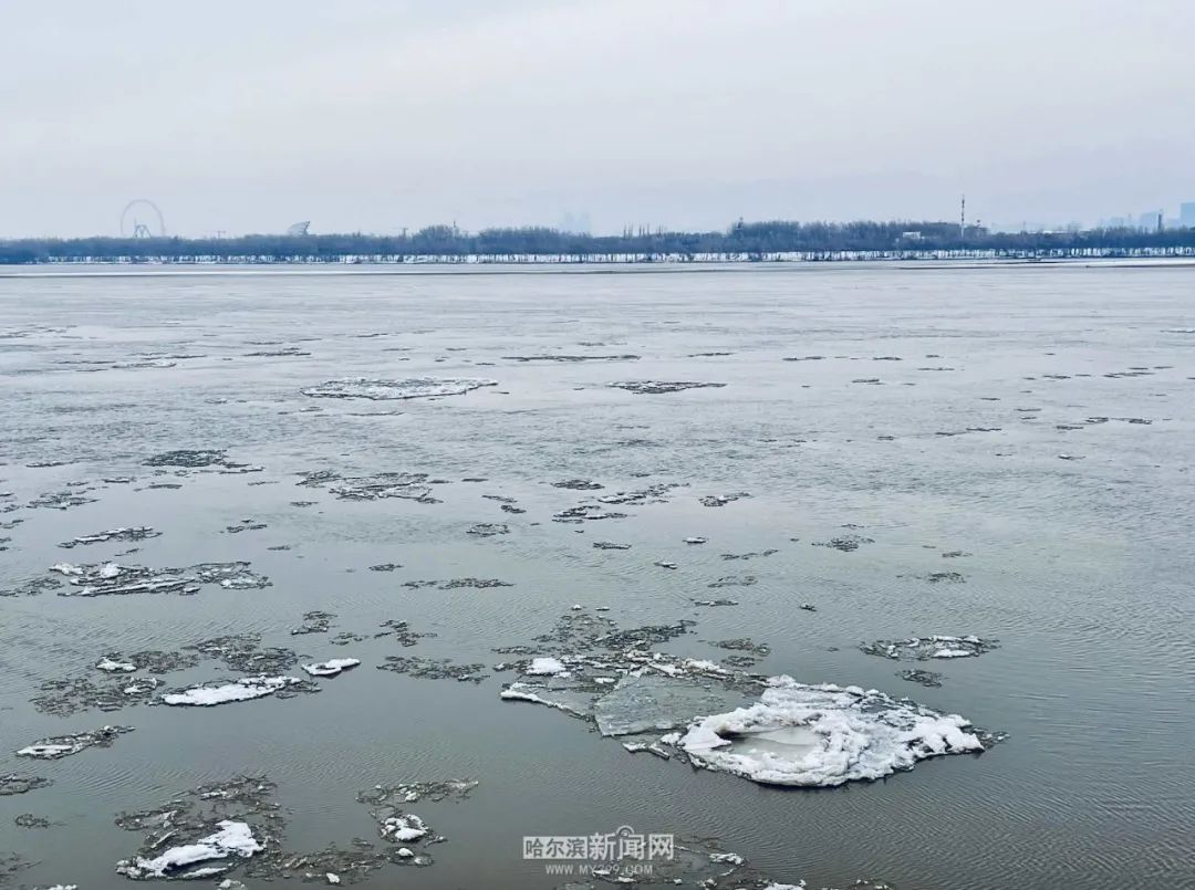 哈尔滨：松花江出现跑冰排景观_广州日报大洋网