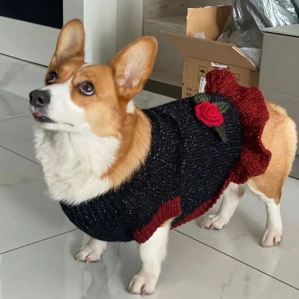 超可爱柯基棒针美女裙(有编织说明)